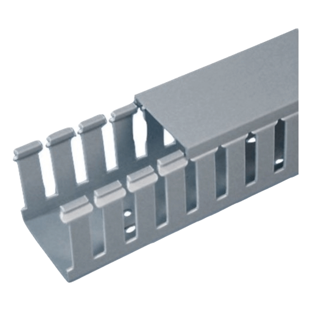 [FC2X2LG2] Canaleta Ranurada de PVC con Tapa, Tipo F, 57.2 mm de Ancho, 53.8 mm de Alto y 2 m de Largo, Color Gris PANDUIT